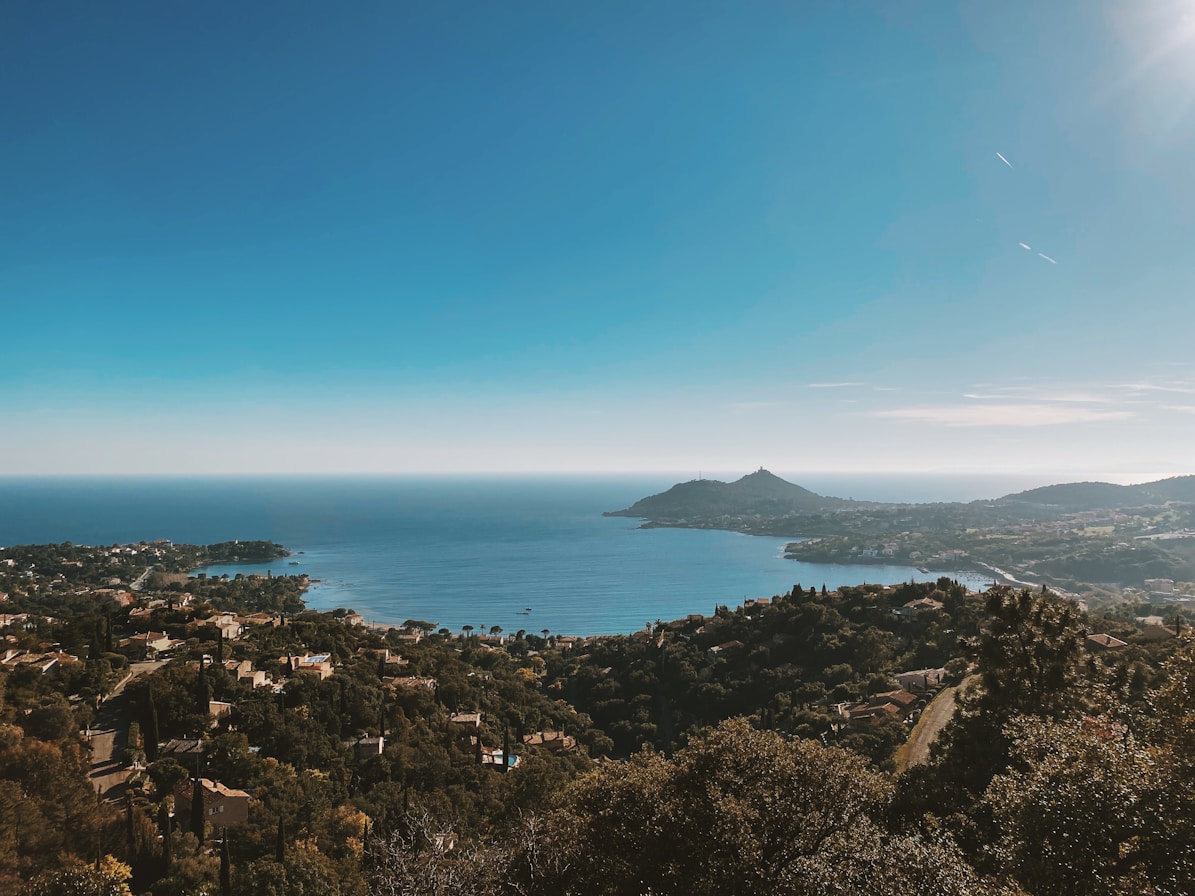 green trees near body of water during daytime