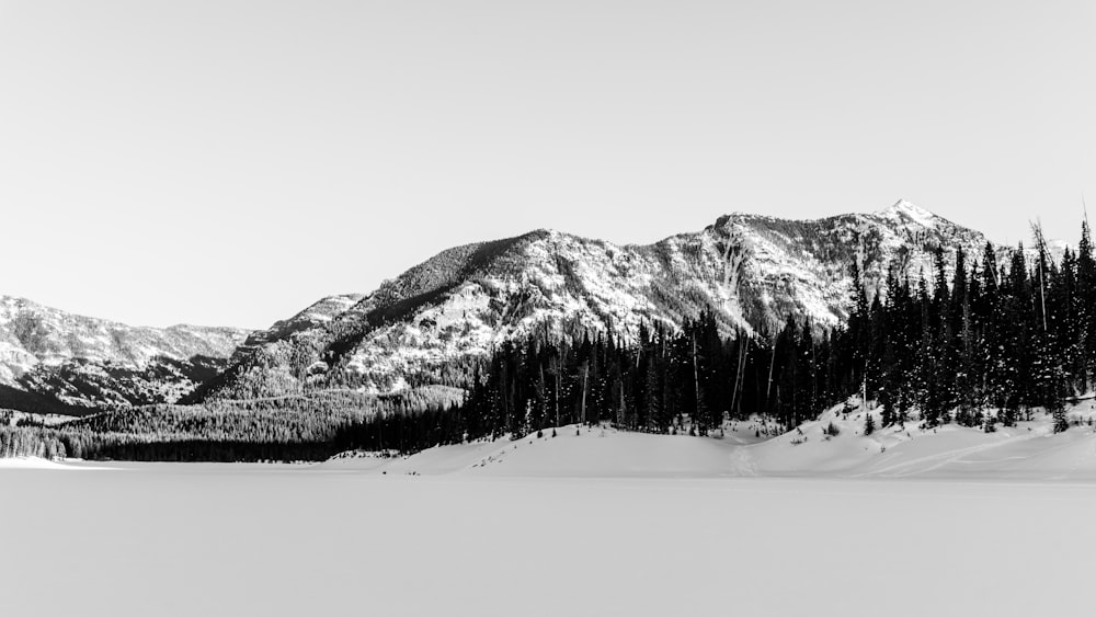 snow covered mountain during daytime