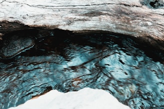A weathered piece of driftwood rests above a gently flowing stream. The water reflects light with a slight ripple effect, creating a serene and natural atmosphere. The wood appears aged, with visible textures and patterns indicating decay.
