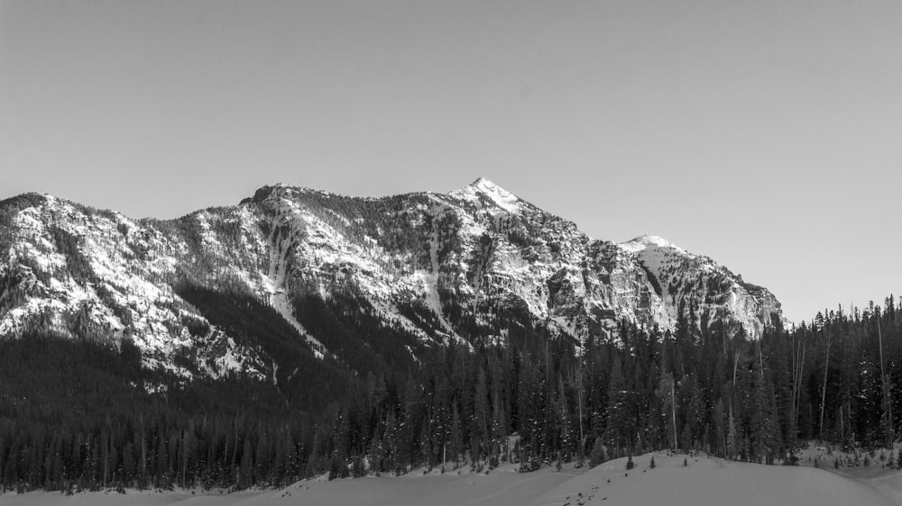 snow covered mountain during daytime