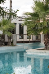 swimming pool near palm trees and building