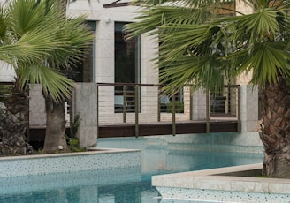 swimming pool near palm trees and building