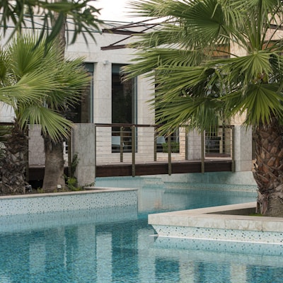 swimming pool near palm trees and building