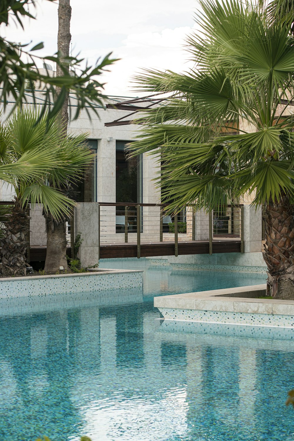 swimming pool near palm trees and building
