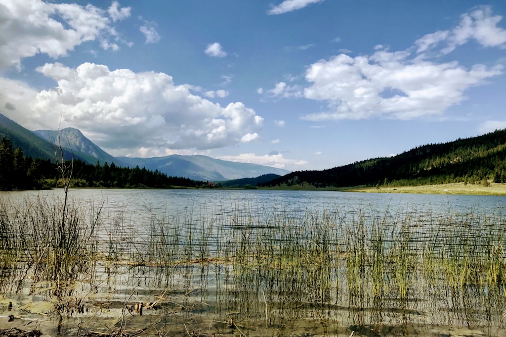 body of water near mountain under white clouds and blue sky during daytime