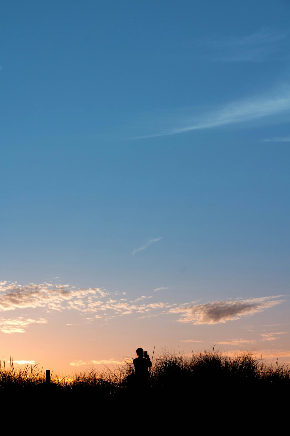 silhouette of person standing on grass field during sunset