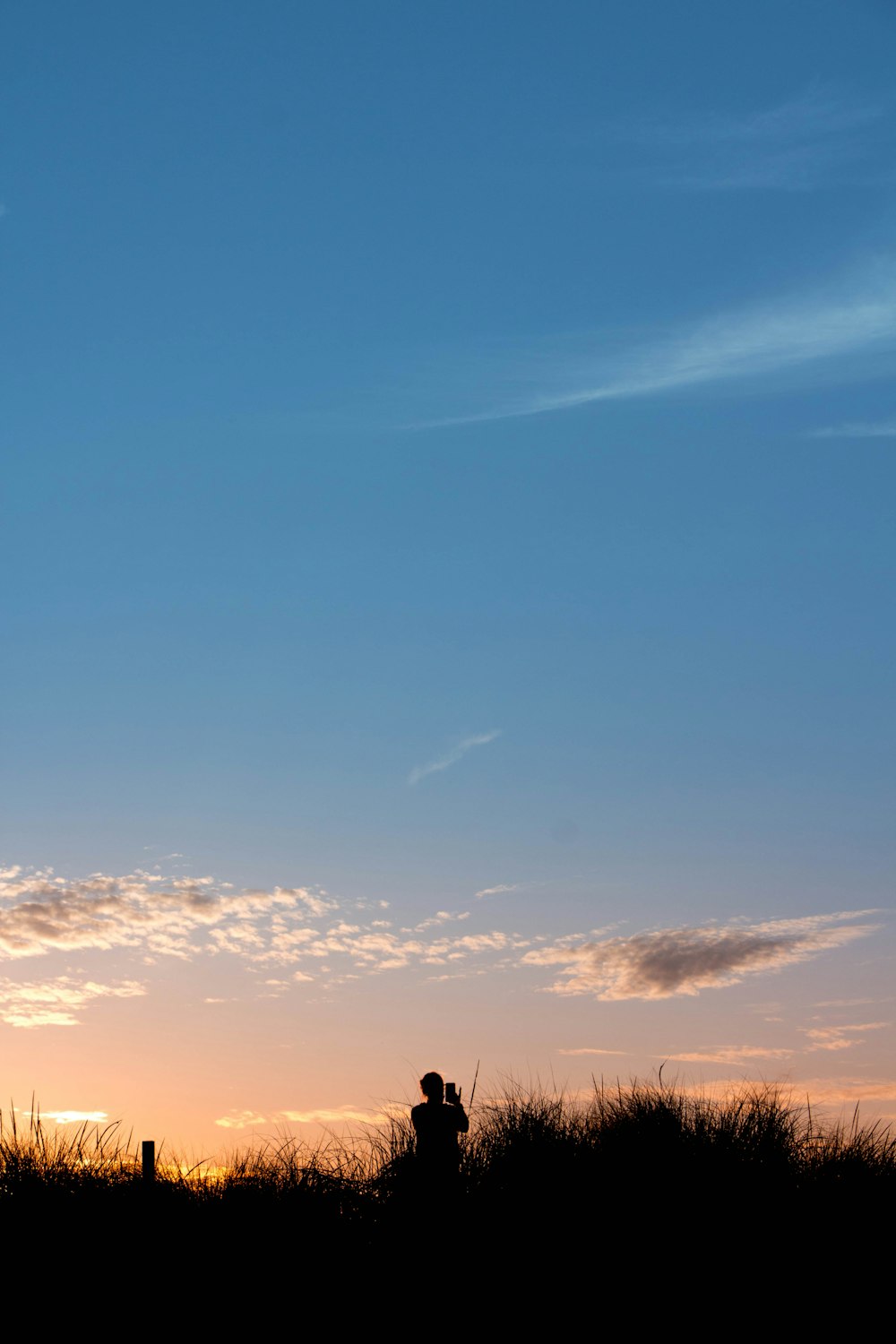 Silueta de la persona de pie en el campo de hierba durante la puesta del sol