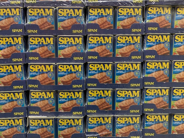 #14 Why is it called "SPAM"?!