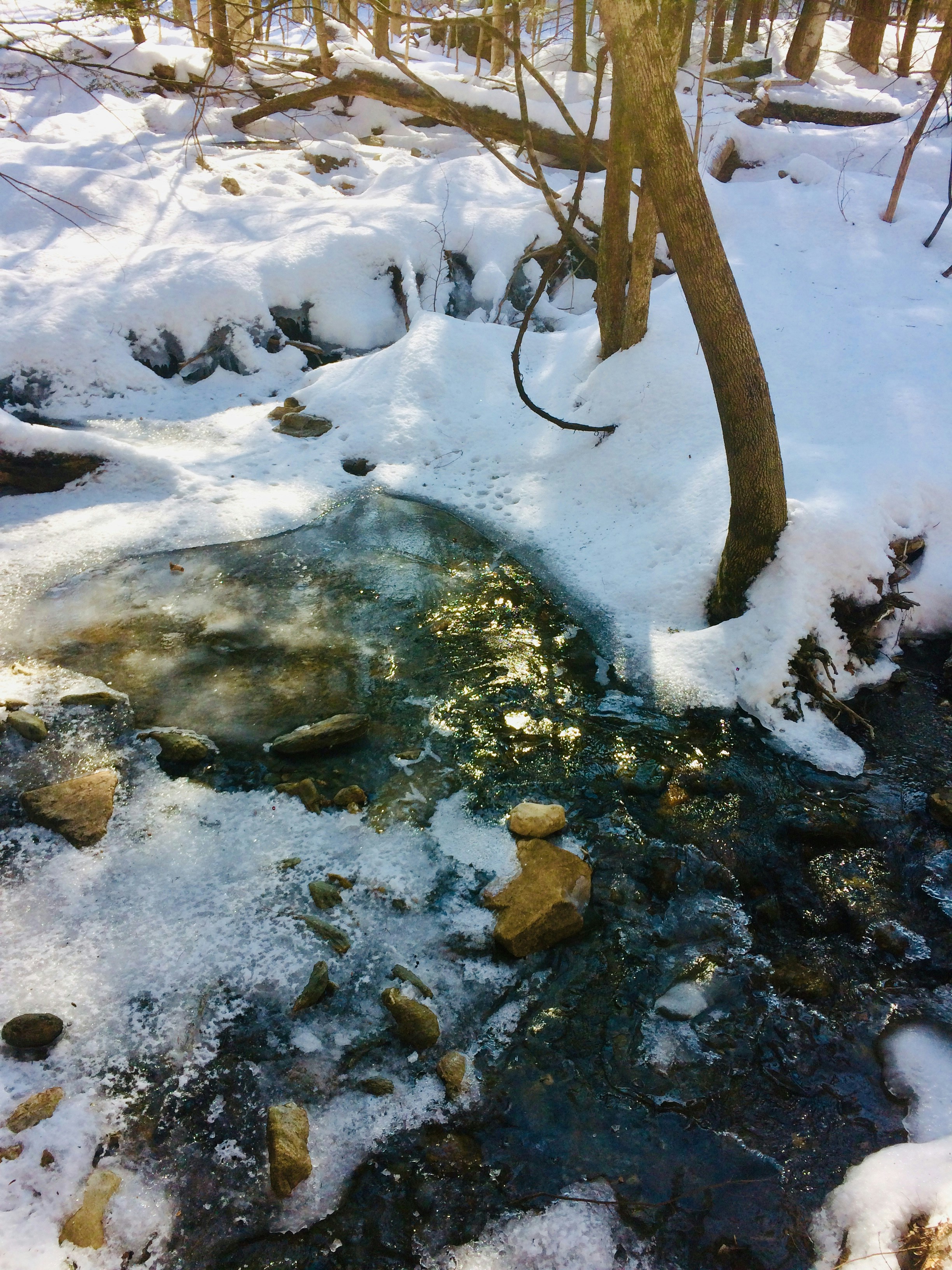Photo by laxgirl2100