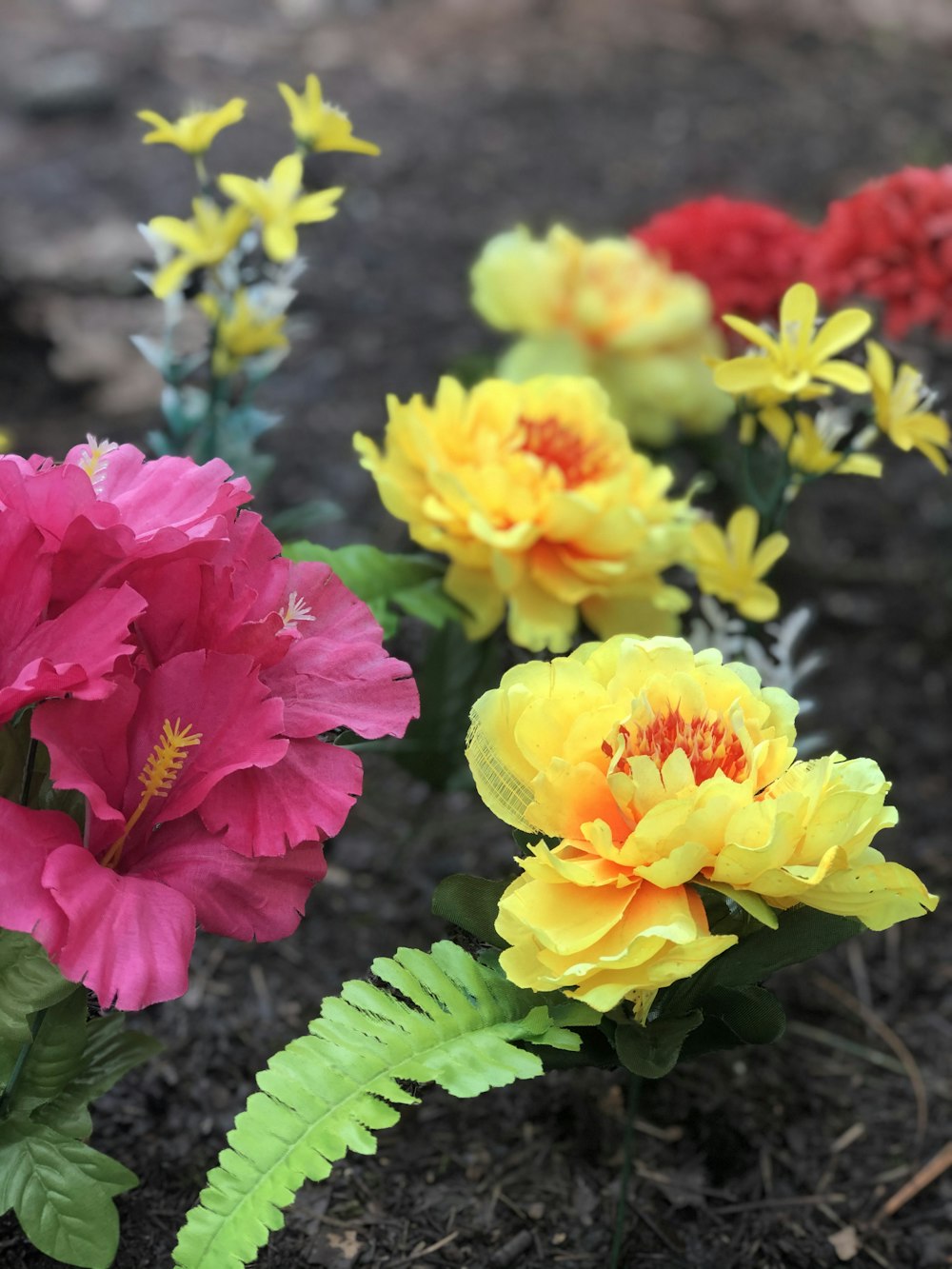 pink and yellow flowers with green leaves