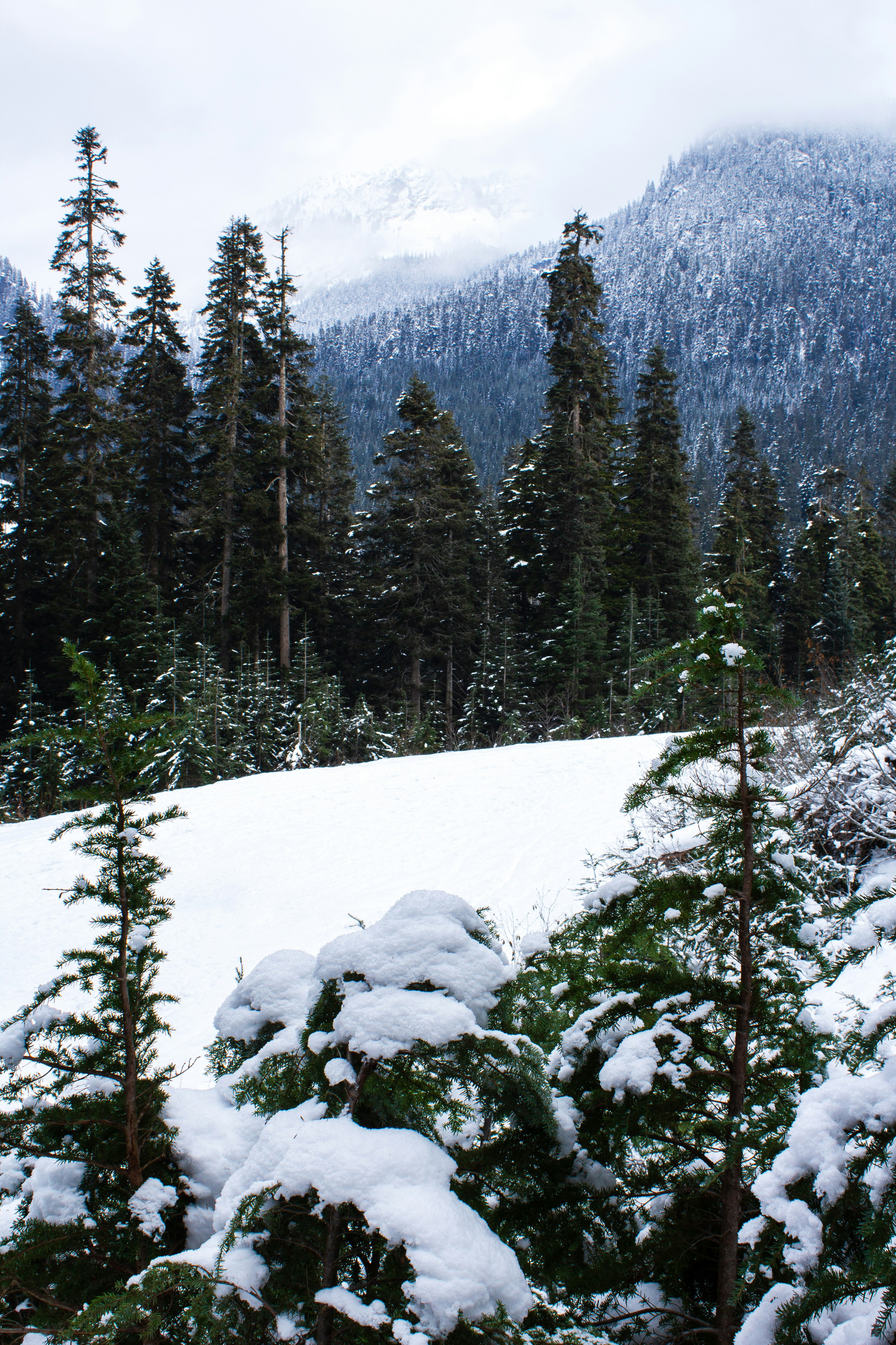 Photo by rstone_design