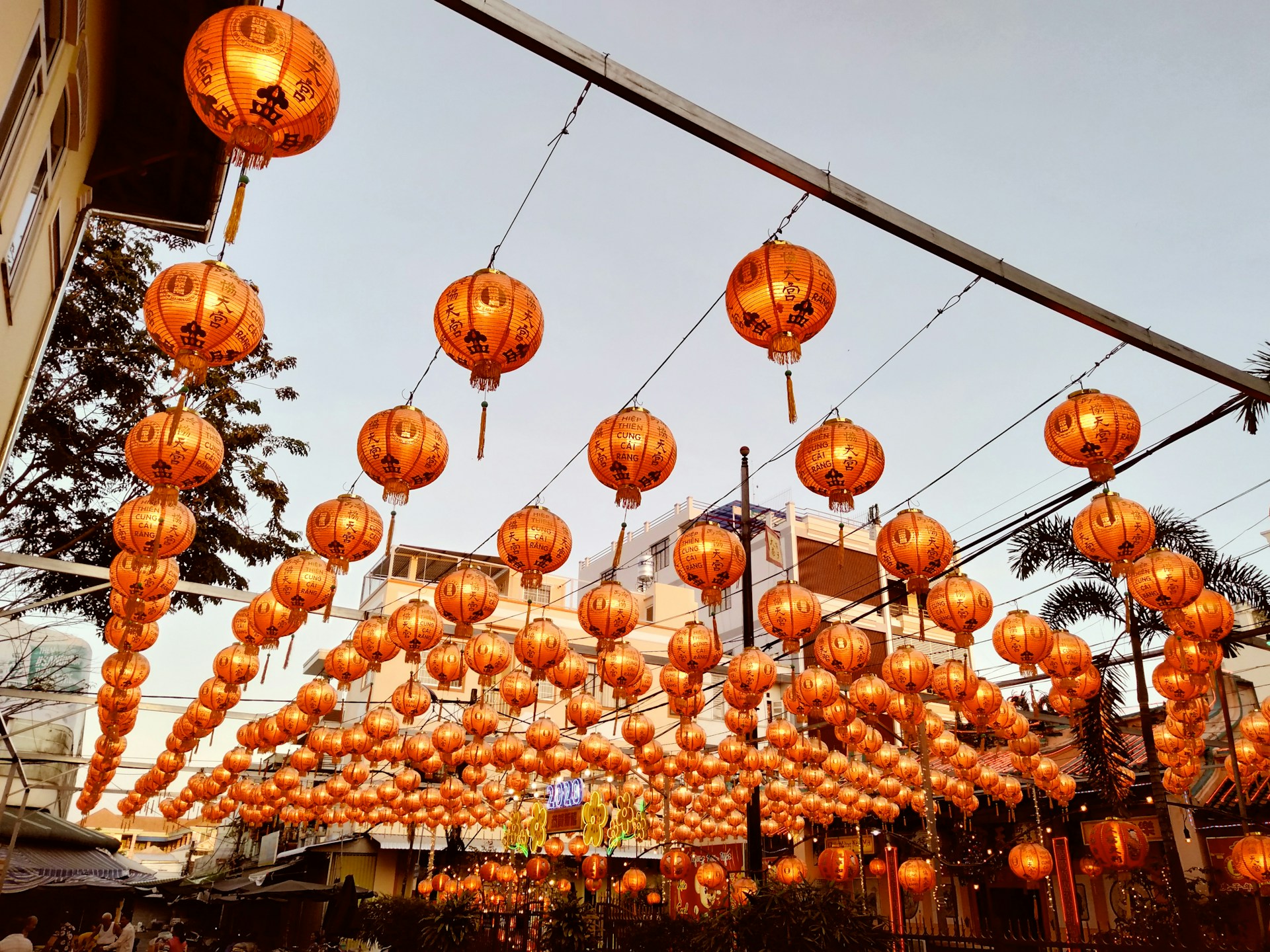 orange and white chinese lanterns