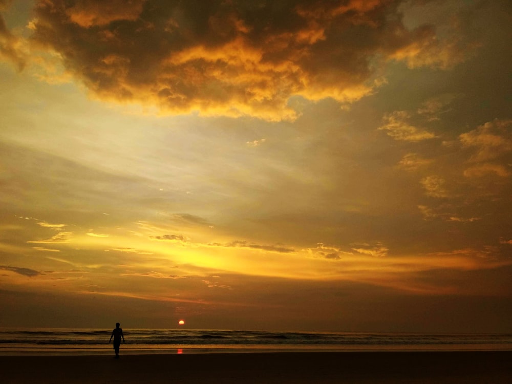 silhouette of 2 people standing on beach during sunset