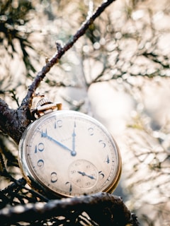 A vintage pocket watch with an ornate design is nestled among tree branches. The watch displays an elegant, classic face with Roman numerals and intricate clock hands. Natural light filters through the branches, creating a warm, dappled effect around the watch.