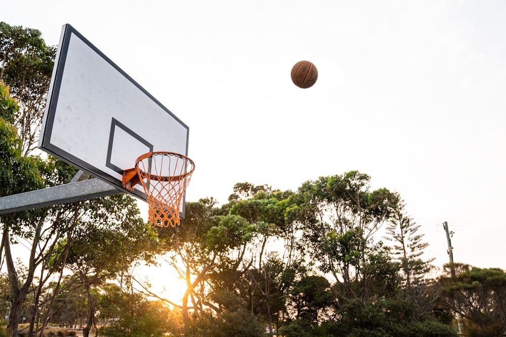 basketball hoop near tree during daytime
