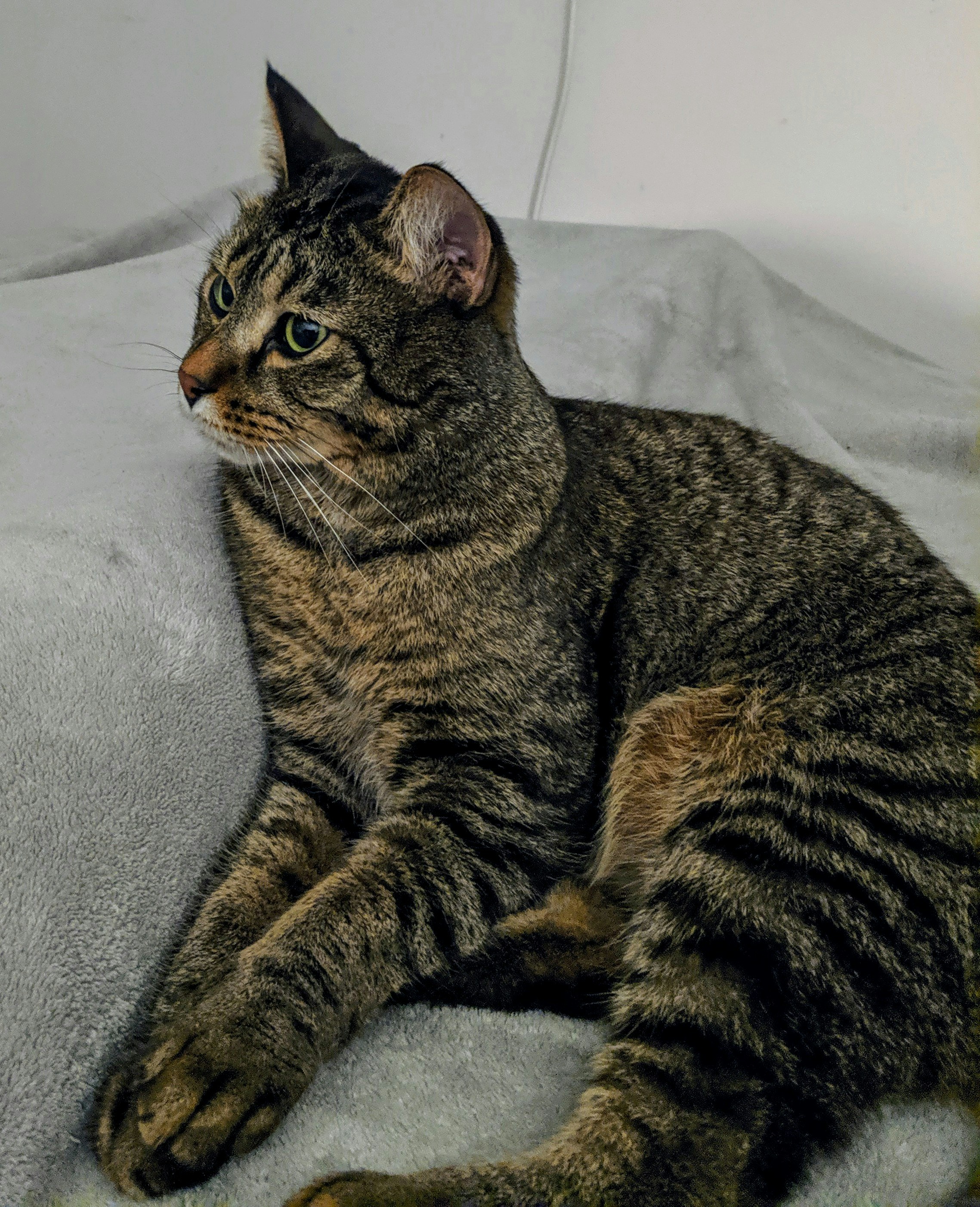 Photo by logicalphase