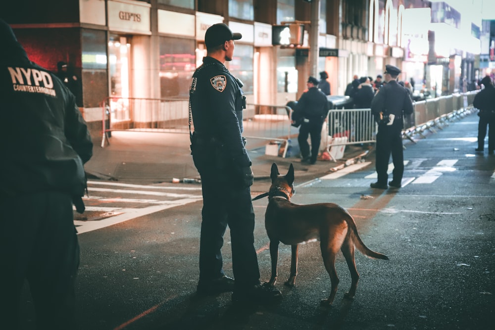 man in black jacket and pants walking with brown short coated dog on street during daytime