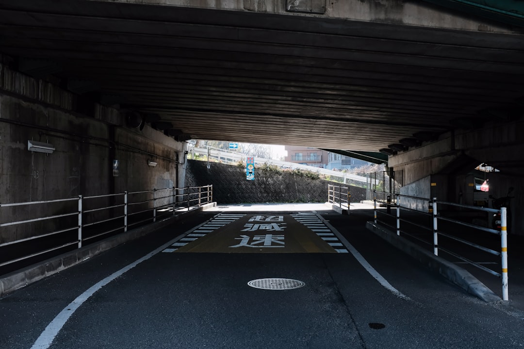 black and white pedestrian lane