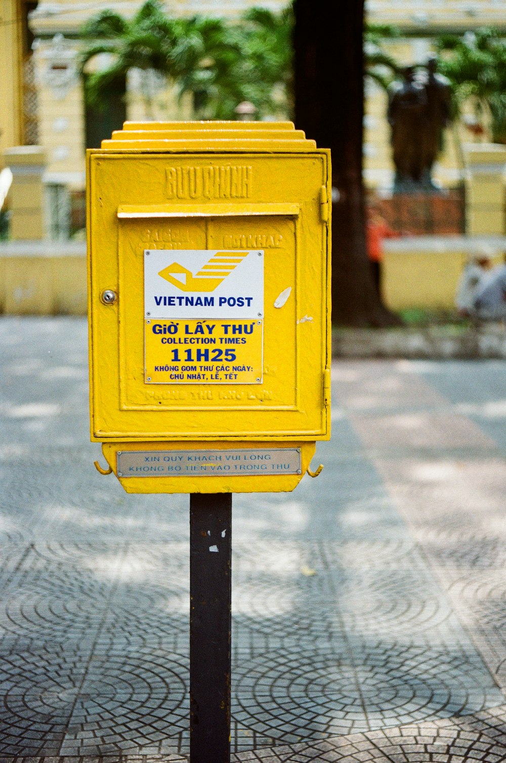 yellow and white fire hydrant