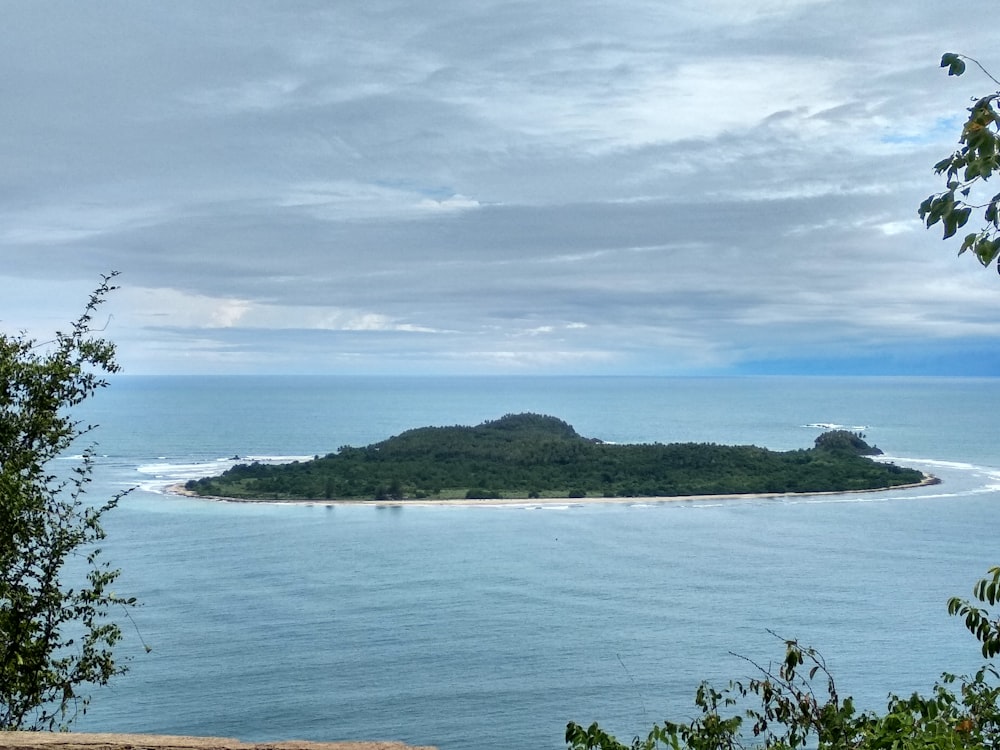 green trees on island during daytime