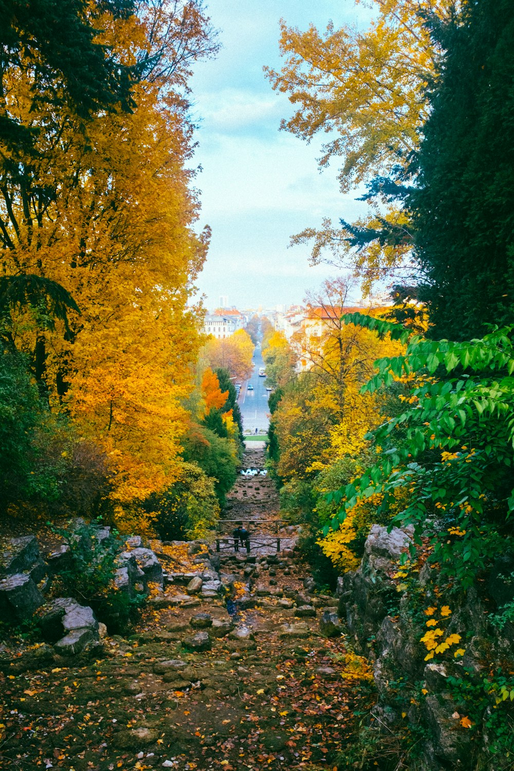 green and yellow trees under white clouds during daytime