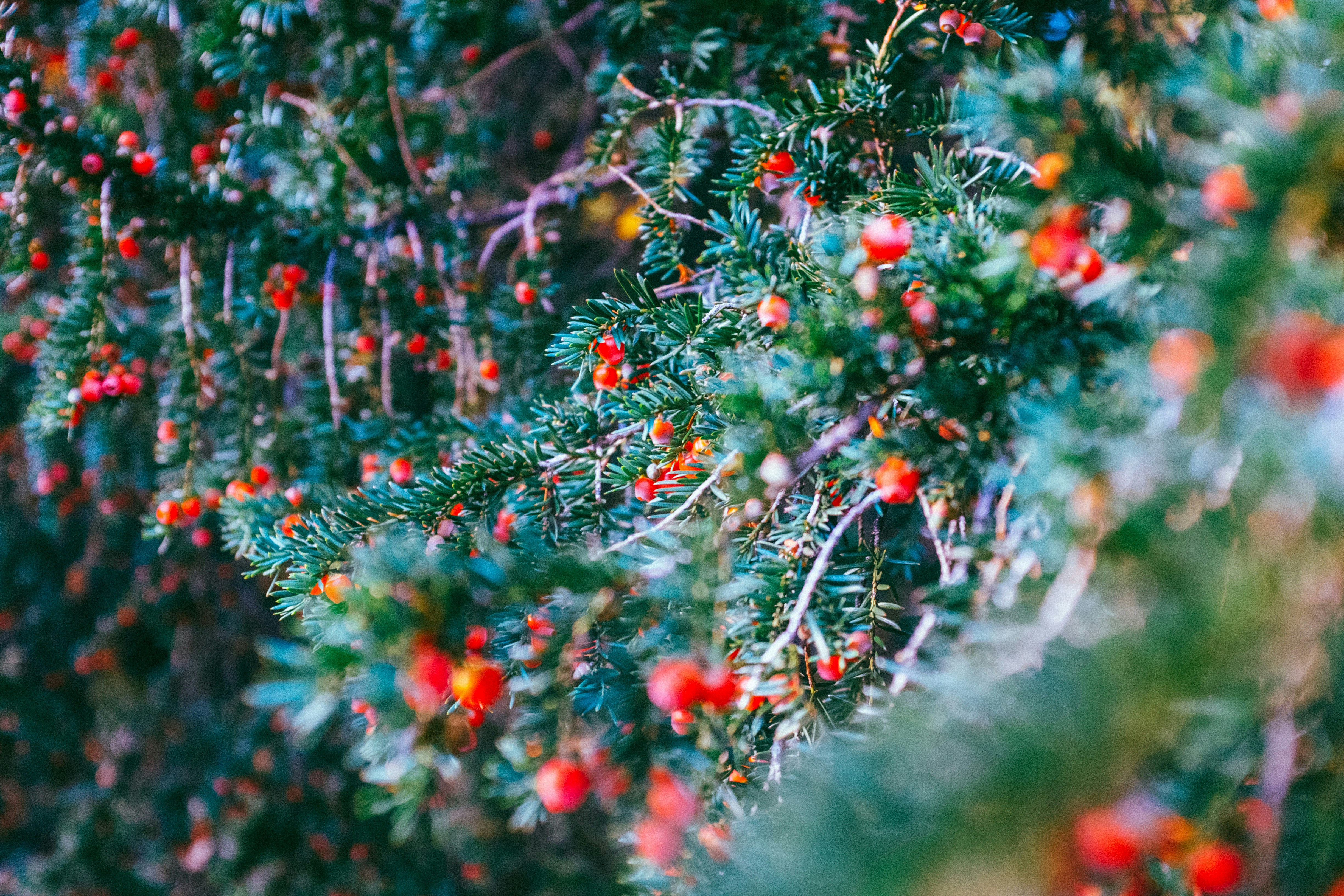 Photo by jaywennington