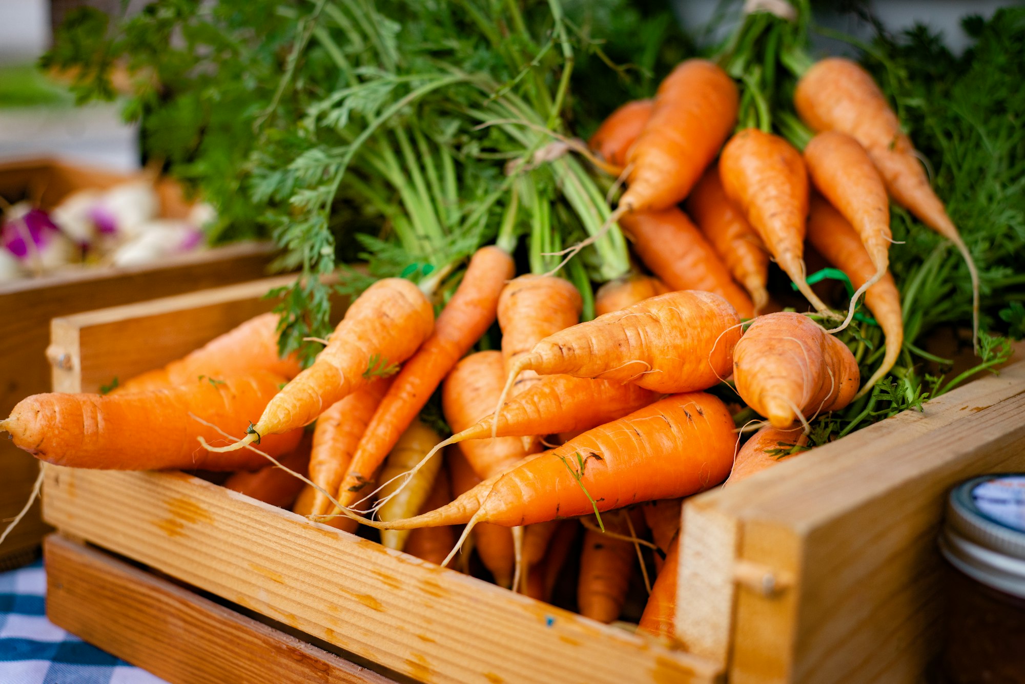 Bright orange carrots