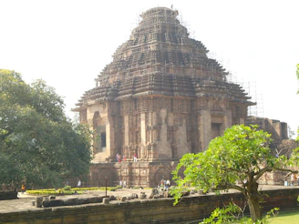 Volunteers restoring an ancient temple surrounded by tropical greenery.
