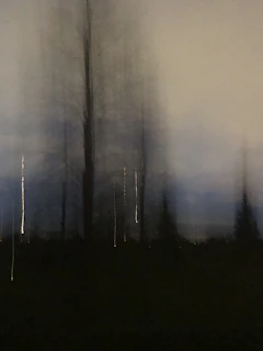 A dark, enigmatic landscape photo with twisted trees and fog, inspired by H.P. Lovecraft’s eerie worlds, with subtle golden accents.