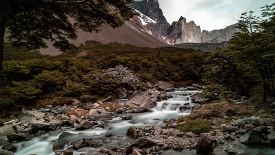 brown and green mountains and river in Torres del Paine Chile