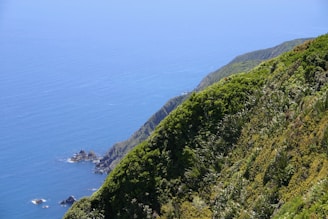 green grass covered mountain beside blue sea under blue sky during daytime