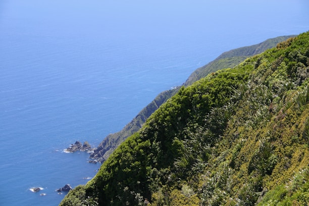 green grass covered mountain beside blue sea under blue sky during daytime