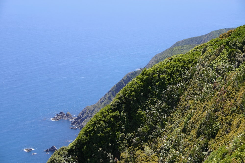 green grass covered mountain beside blue sea under blue sky during daytime