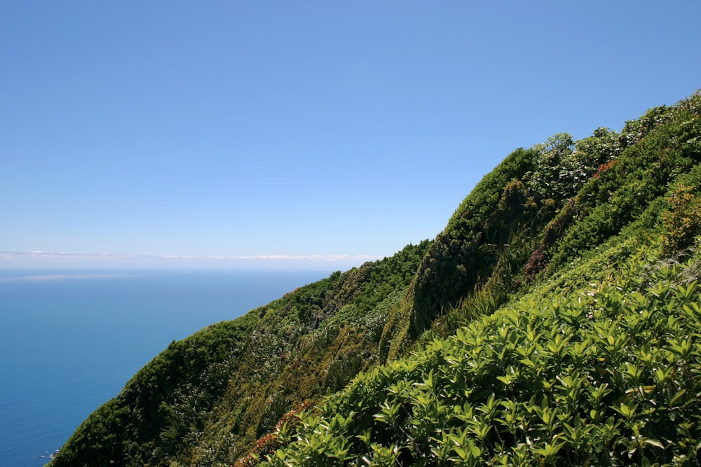 green grass covered mountain near body of water during daytime