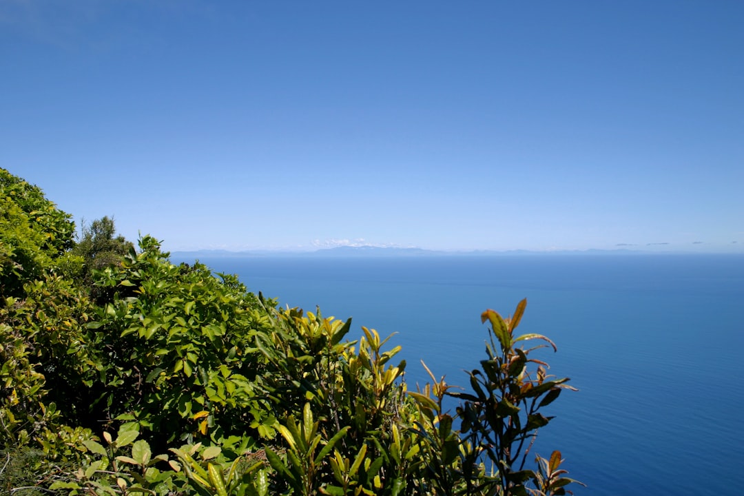 photo of Kapiti Island Nature reserve near Paekakariki Hill Road