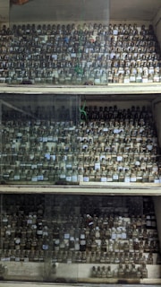 A large collection of small glass bottles with cork stoppers arranged on wooden shelves. The shelves are enclosed with glass panels. Each bottle appears to contain a substance, possibly chemicals or samples, with labels on them.