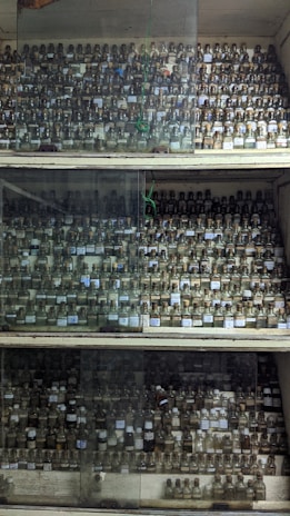 A large collection of small glass bottles with cork stoppers arranged on wooden shelves. The shelves are enclosed with glass panels. Each bottle appears to contain a substance, possibly chemicals or samples, with labels on them.