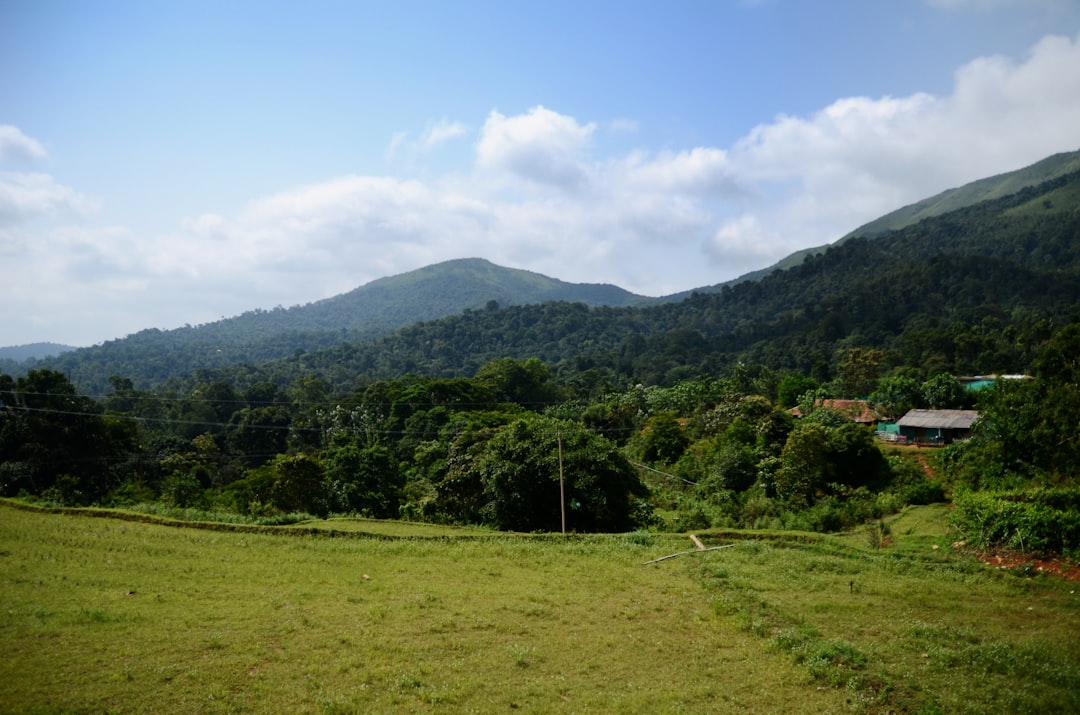 green grass field near green mountain under blue sky during daytime