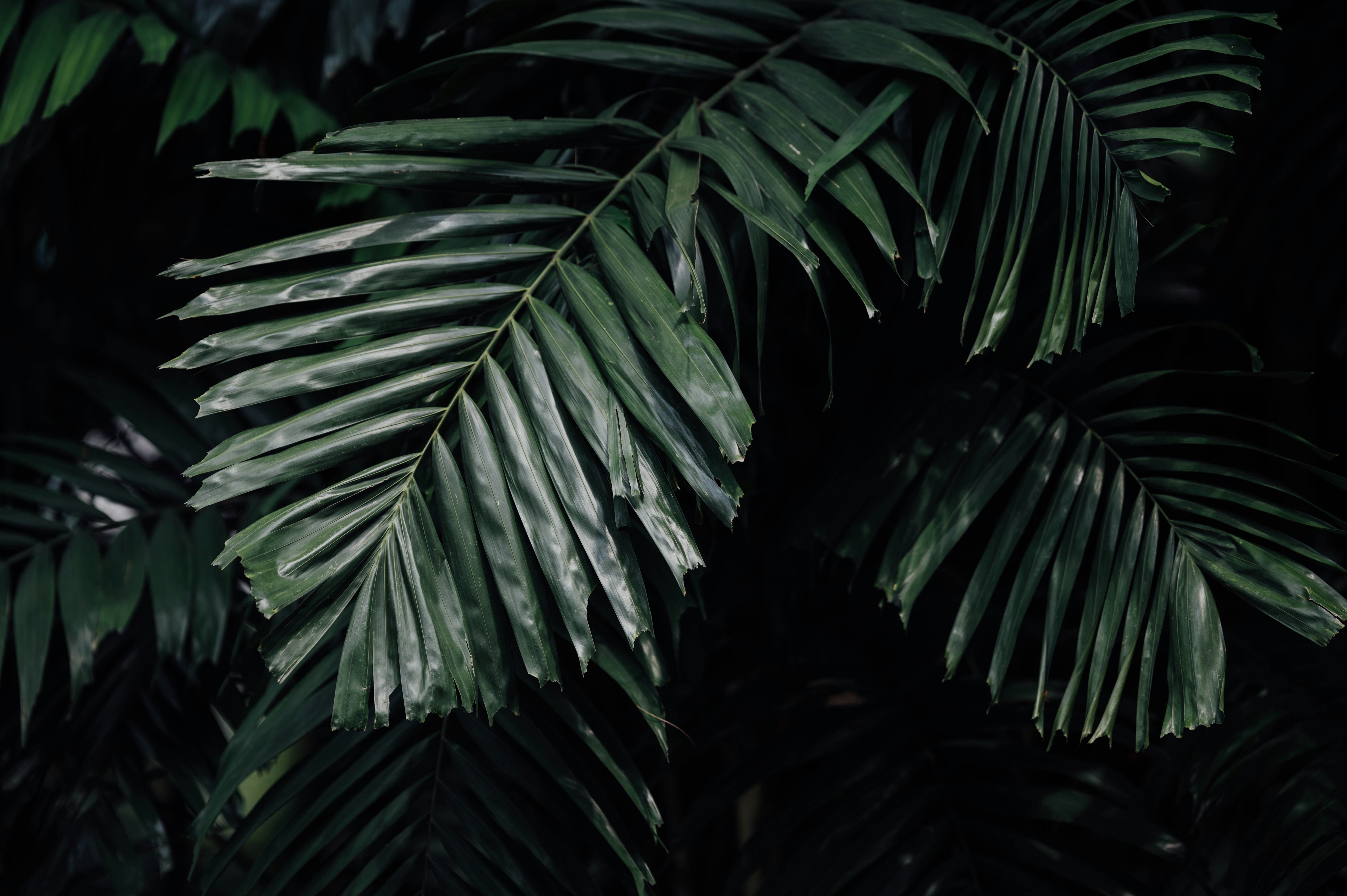 Photo by chuttersnap