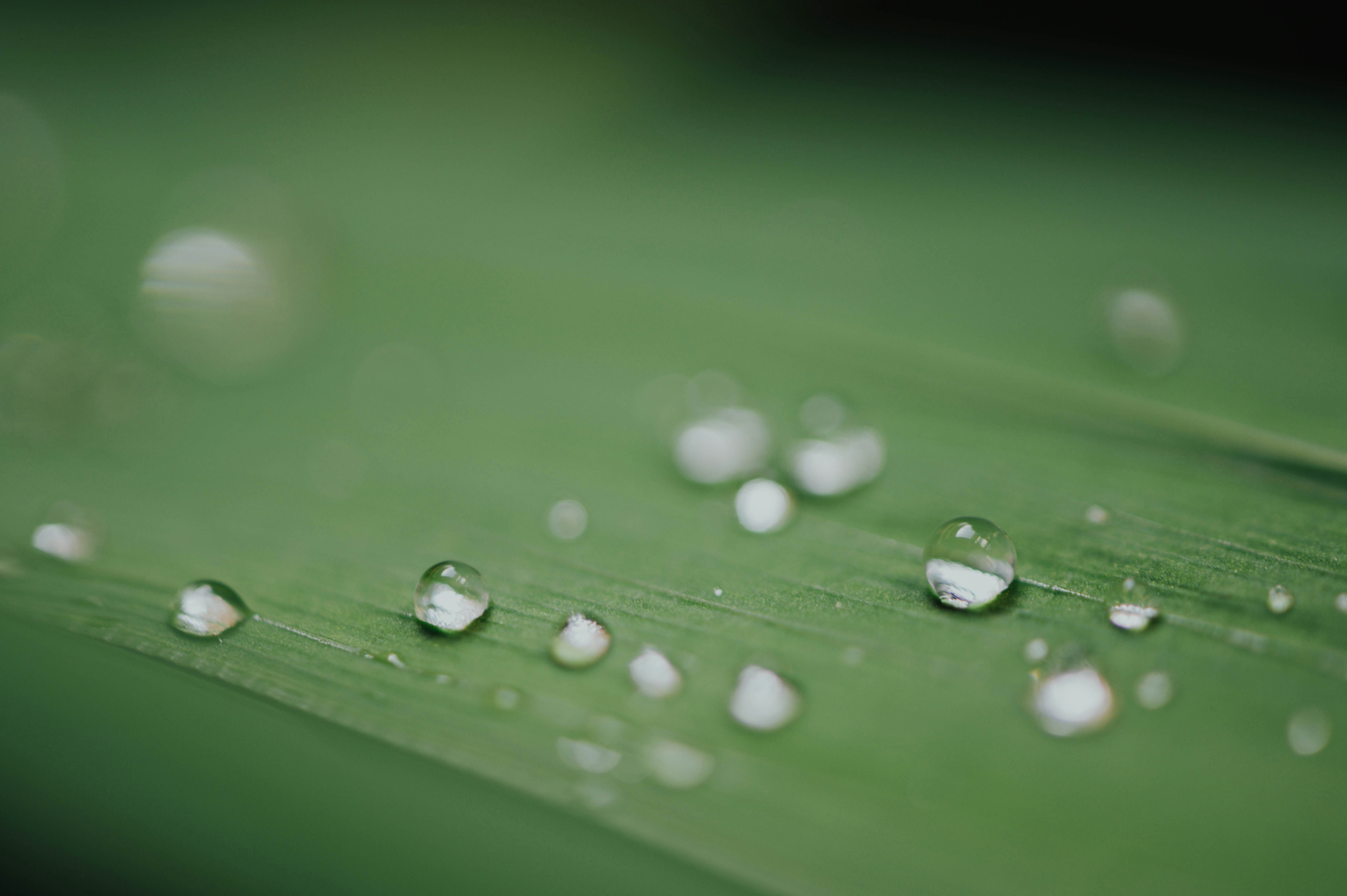 Photo by chuttersnap