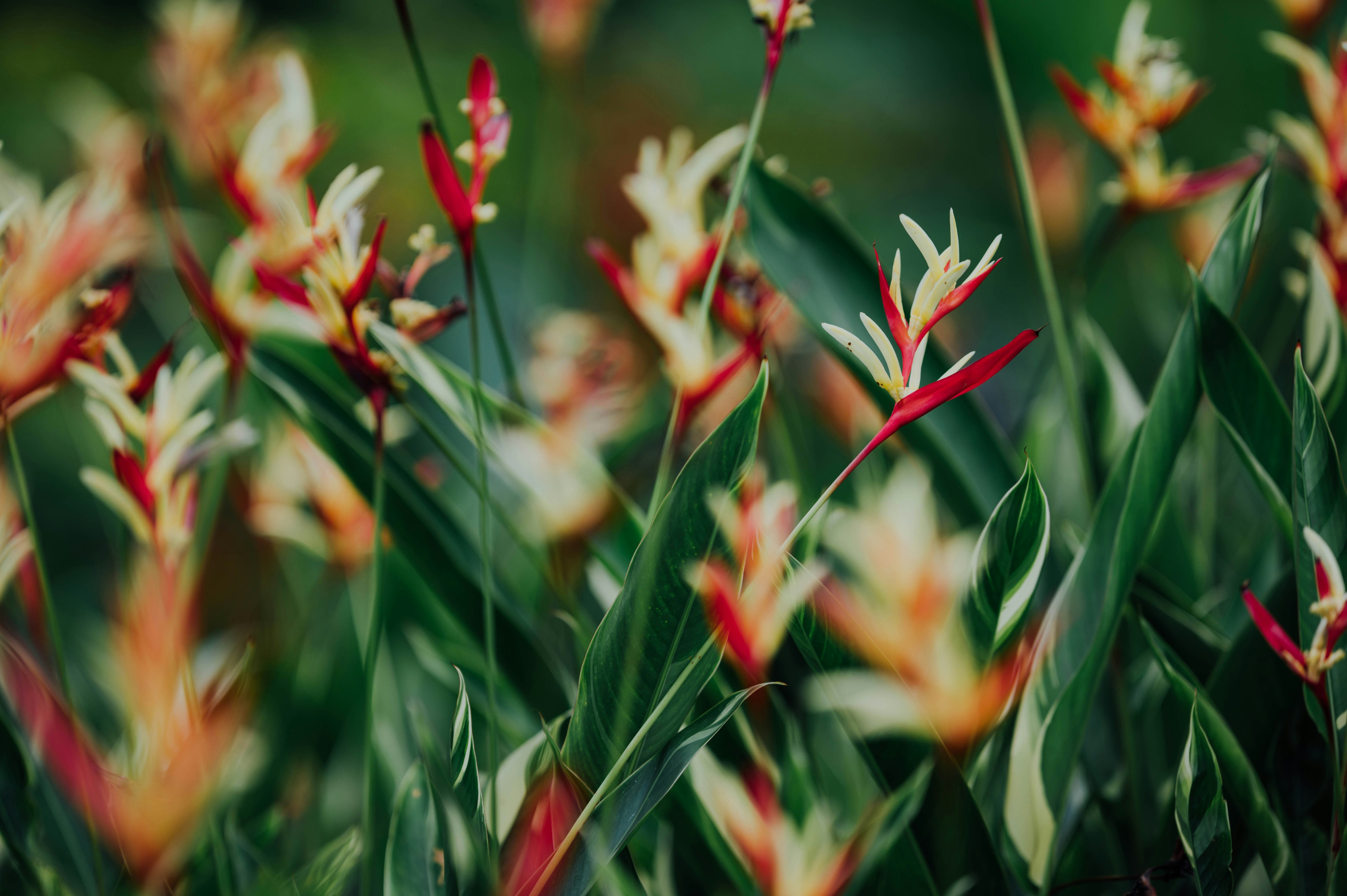 Photo by chuttersnap