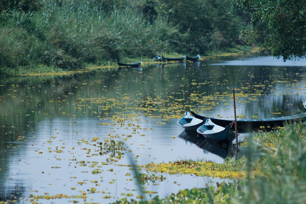 black and white boat on lake during daytime