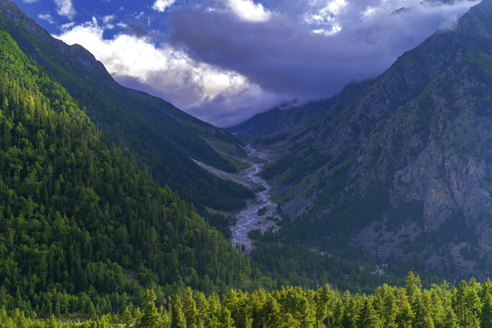 árvores verdes na montanha sob nuvens brancas durante o dia