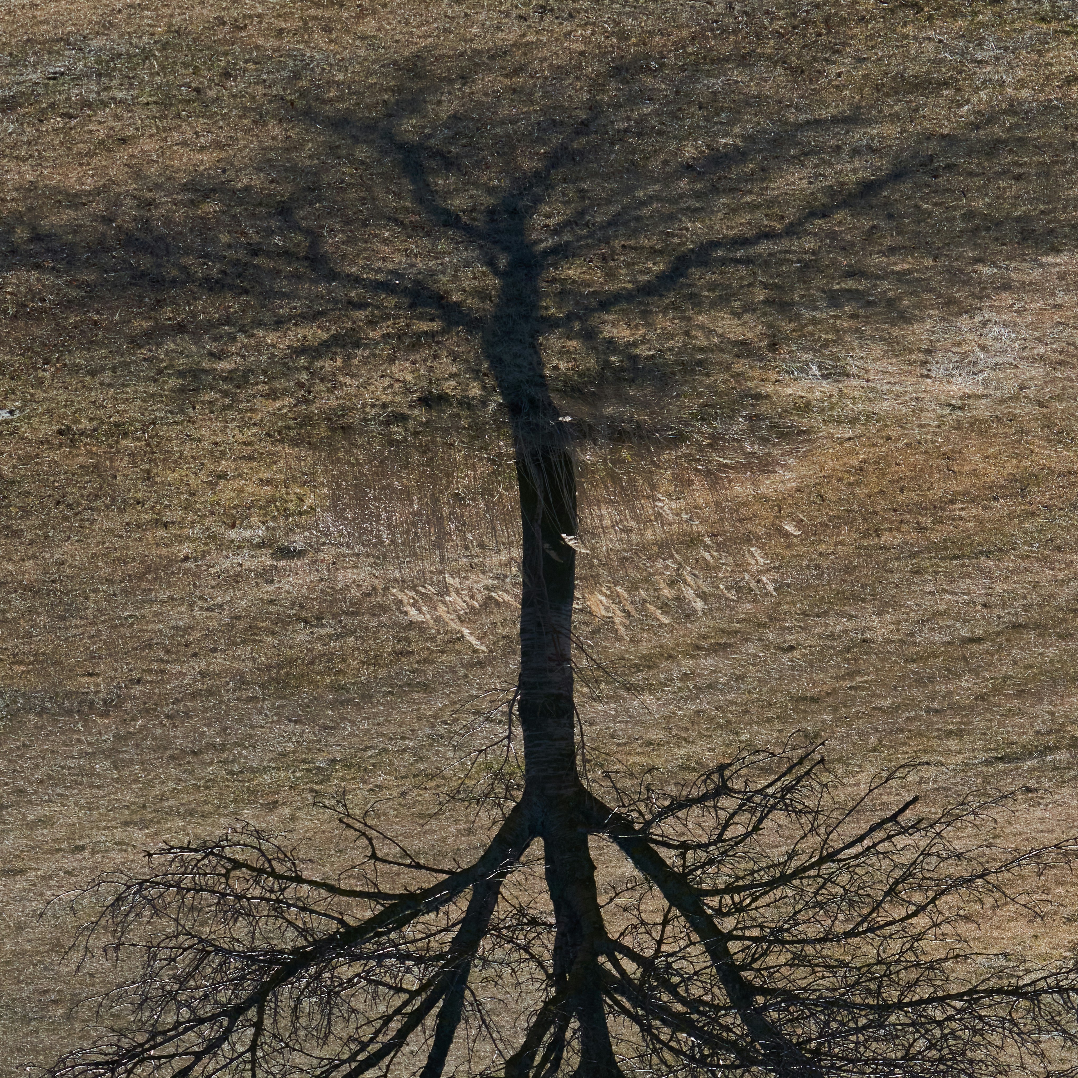 Photo 1582526809437 98c2e484a24d? Crop=entropy&cs=tinysrgb&fit=max&fm=jpg&ixid=m3w3mjawmdn8mhwxfhnlyxjjahwxfhxbjtiwz3jhcghpyyuymhnob3dpbmclmjbzdhjvbmclmjbyb290cyuymg9mjtiwysuymhryzwulmkmlmjbzew1ib2xpemluzyuymgzpbmfuy2lhbcuymhjlc2lsawvuy2ulmjbhz2fpbnn0jtiwzwnvbm9tawmlmjb3aw5kc3xlbnwwfhx8fde3njgwmdgyodd8ma&ixlib=rb 4. 1