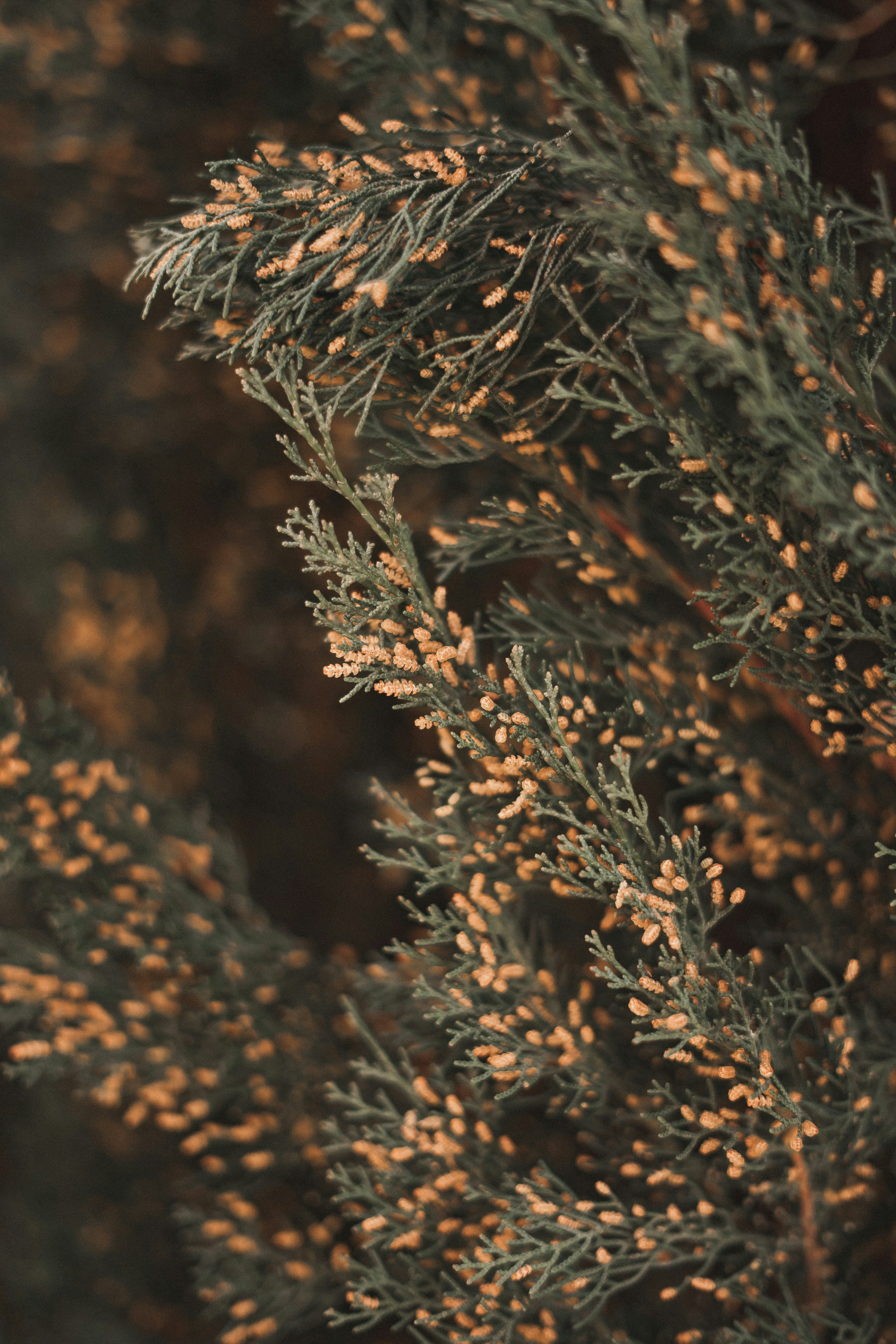 Photo by salvadorgodoyladrero