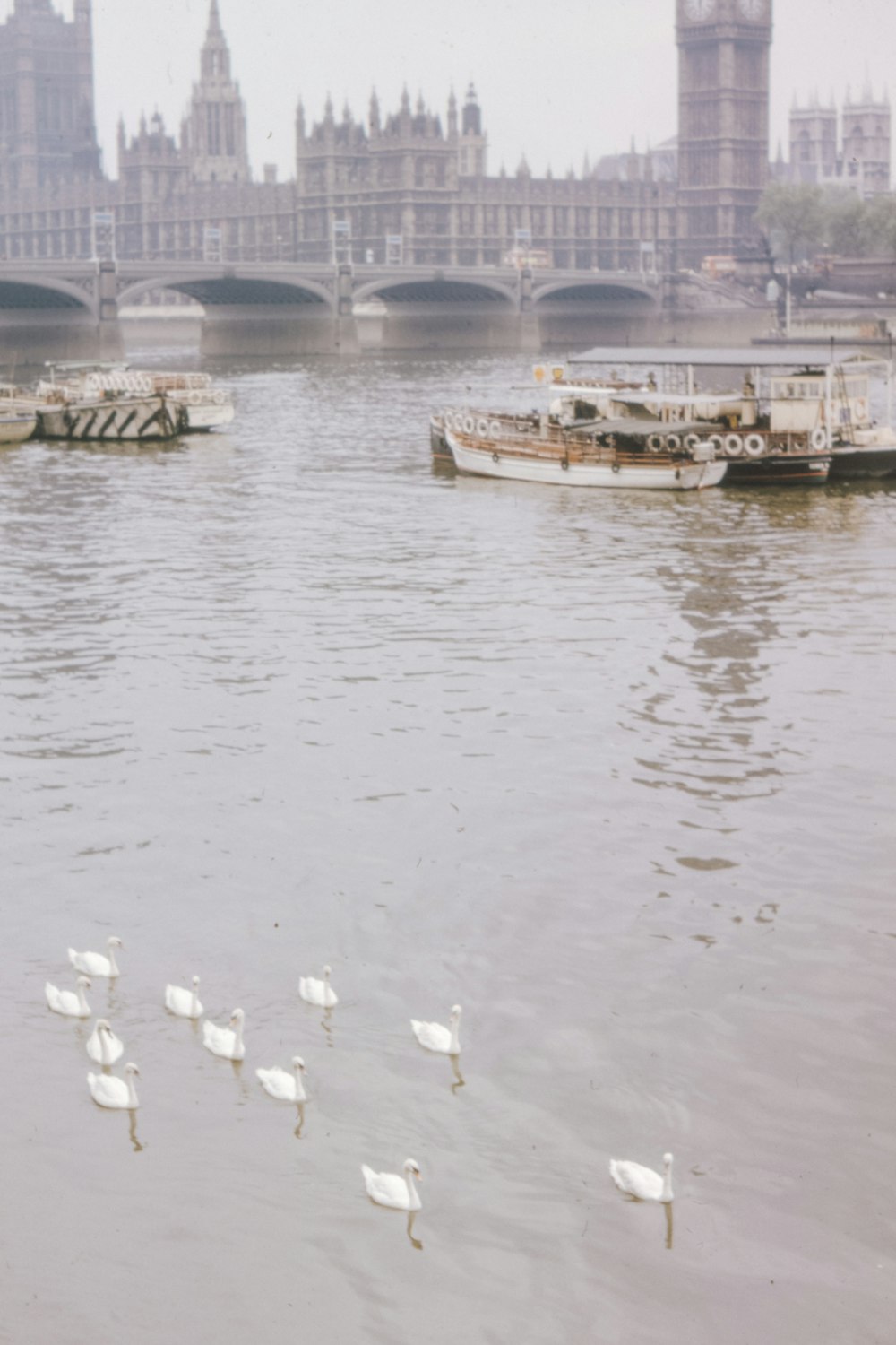 white and brown boat on water during daytime