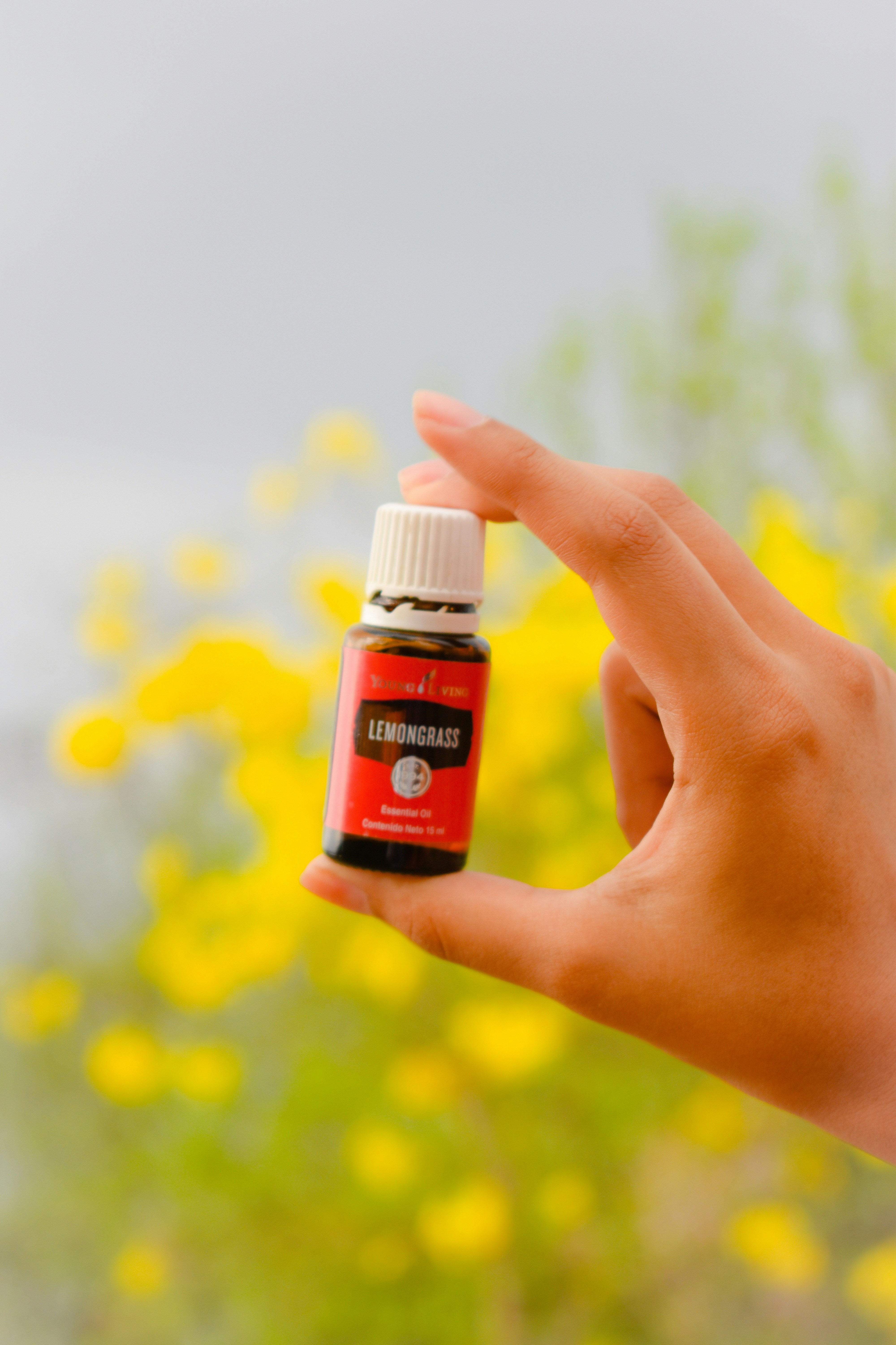 Photo by andczamb