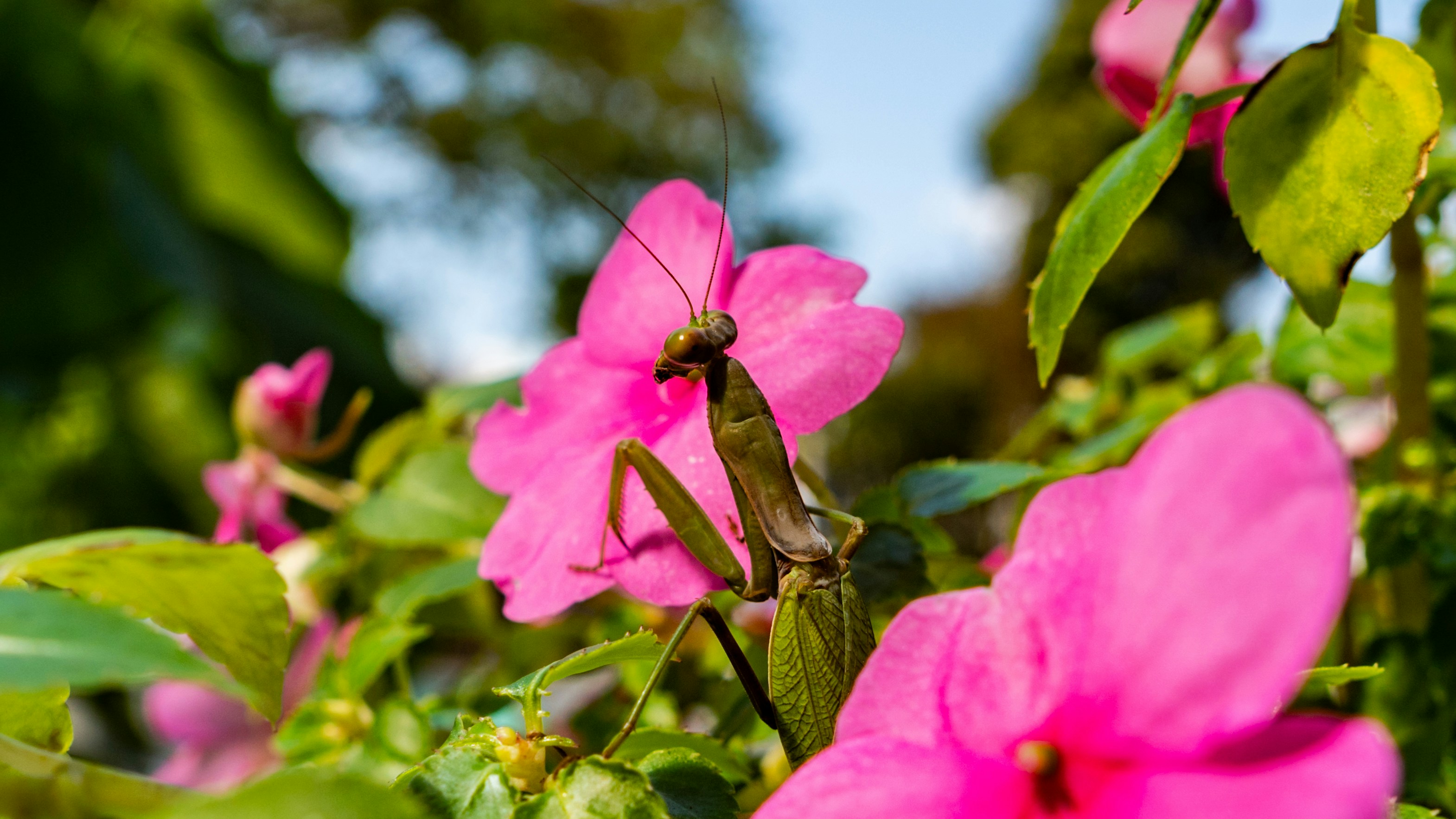 Photo by photograffihk