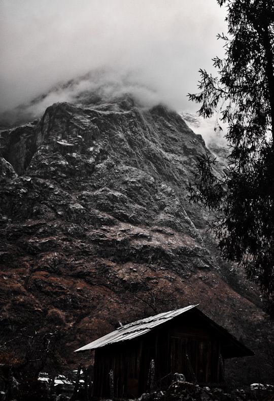 brown and gray mountain under white clouds during daytime in Lachung India