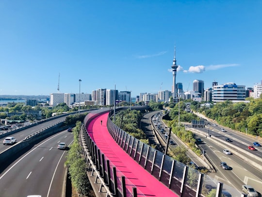 red metal fence near city buildings during daytime in Sky Tower New Zealand